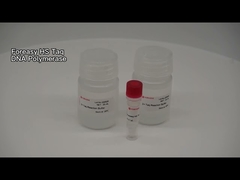 Foreasy HS Taq DNA Polymerase