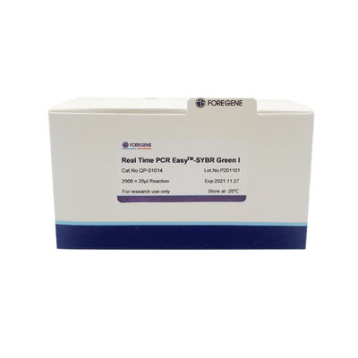 Зеленый цвет в реальном времени системы PCR EasyTM-SYBR примикса реакции PCR высокой чувствительности реакцииⅠ