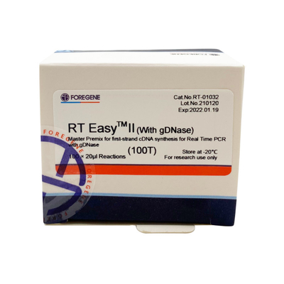 RT EasyTM II с обратными праймерами транскрипции для использования мастерского примикса для синтеза Перво-стренги CDNA/PCR в реальном времени