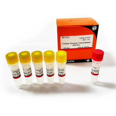 Обратный Transcriptase Foreasy M-MLV для наборов PCR расширения праймера синтеза CDNA с полимеразой ДНК