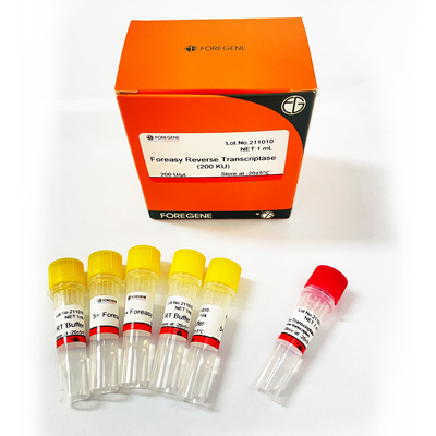 Обратный Transcriptase Foreasy M-MLV для наборов PCR расширения праймера синтеза CDNA с полимеразой ДНК