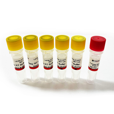 Обратный Transcriptase Foreasy M-MLV для наборов PCR расширения праймера синтеза CDNA с полимеразой ДНК