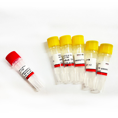 Обратный Transcriptase Foreasy M-MLV для наборов PCR расширения праймера синтеза CDNA с полимеразой ДНК