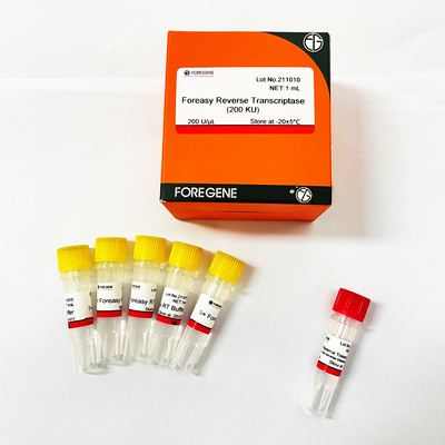 Обратный Transcriptase Foreasy M-MLV для наборов PCR расширения праймера синтеза CDNA с полимеразой ДНК