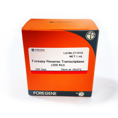 Обратный Transcriptase Foreasy M-MLV для наборов PCR расширения праймера синтеза CDNA с полимеразой ДНК