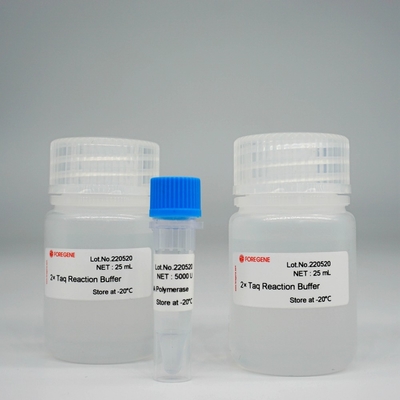 Набор полимеразы HotStar Taq полимеразы ДНК Foreasy Taq для PCR/QPCR