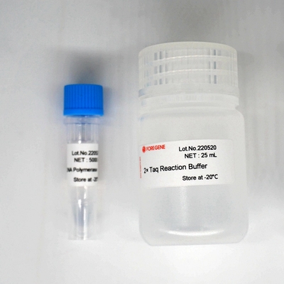 Набор полимеразы HotStar Taq полимеразы ДНК Foreasy Taq для PCR/QPCR