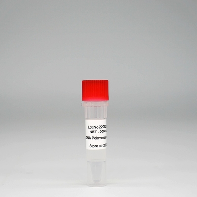 Смешивание энзима HotStar Taq полимеразы ДНК Foreasy HS Taq супер для PCR/QPCR
