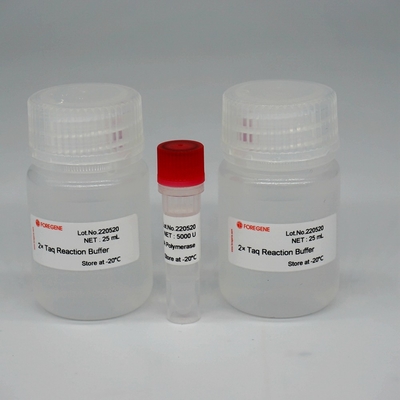 Смешивание энзима HotStar Taq полимеразы ДНК Foreasy HS Taq супер для PCR/QPCR