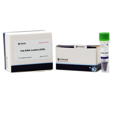Отметка 5000 ДНК Foregene 400 μL тестов 500x4 пакуя отметку ДНК 100bp-5000bp