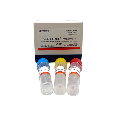 Примикс Lnc-RT HeroTM i (с gDNase) супер для синтеза cDNA перво-стренги от lncRNA Cat.No.RTL-09098/09099