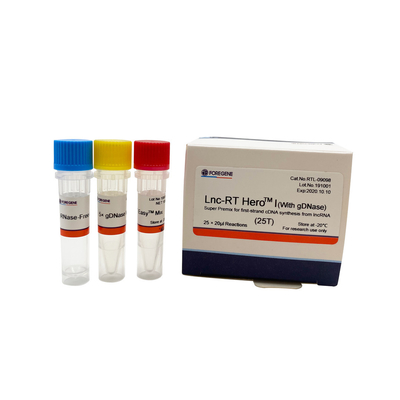 Примикс Lnc-RT HeroTM i (с gDNase) супер для синтеза cDNA перво-стренги от lncRNA Cat.No.RTL-09098/09099
