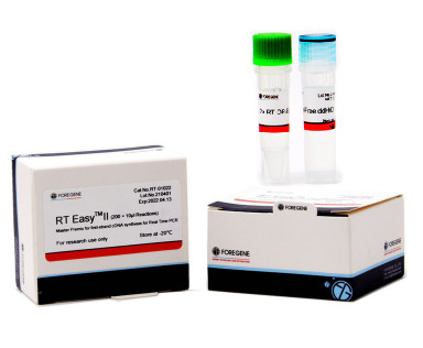Чувствительность набора в реальном времени синтеза стренги CDNA Transcriptor PCR первого высокая