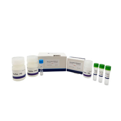Набор 500×20ul Rxns PCR завода CE ISO сразу для заводов полифенола полисахарида
