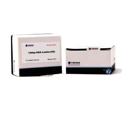 Наборы PCR лестницы ДНК Foregene 100bp 160 Ug/Ml улучшают влияние разъединения