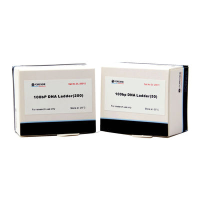 Наборы PCR лестницы ДНК Foregene 100bp 160 Ug/Ml улучшают влияние разъединения