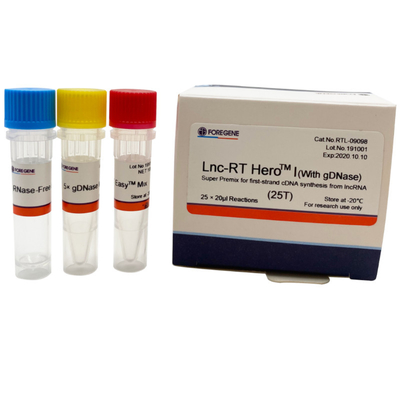 Набор 25×20ul Rxns транскрипции супер примикса Lnc-RT HeroTM i DNase обратный