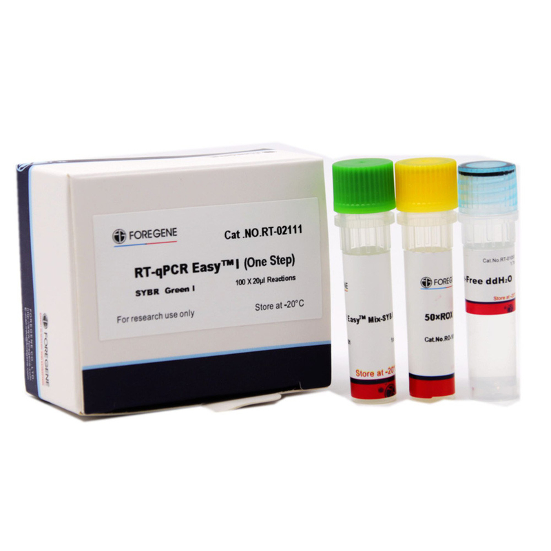 Шаг SYBR RT-QPCR EasyTM I одного зеленеет меня выполняет количественное обнаружение генов для RT и PCR в реальном времени