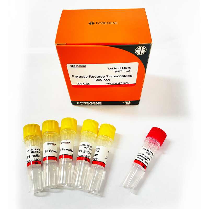 Обратный Transcriptase Foreasy M-MLV для наборов PCR расширения праймера синтеза CDNA с полимеразой ДНК
